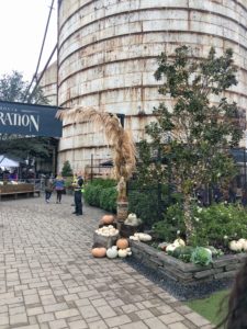 Highlights from Silobration | Rooms FOR Rent Blog