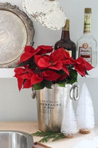 New Years Eve Wet Bar | Rooms FOR Rent