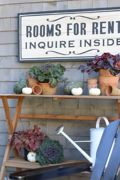 Gardening Tips | Fall Plants - Rooms For Rent blog
