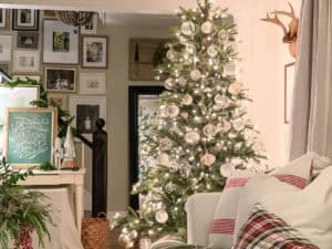 Christmas Night Tour | 2019 - Rooms For Rent blog