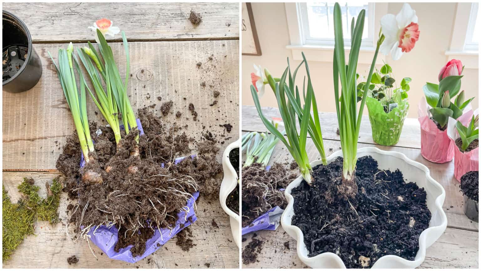 3 DIY Spring Centerpiece Ideas to Brighten Your Table - Rooms For Rent blog