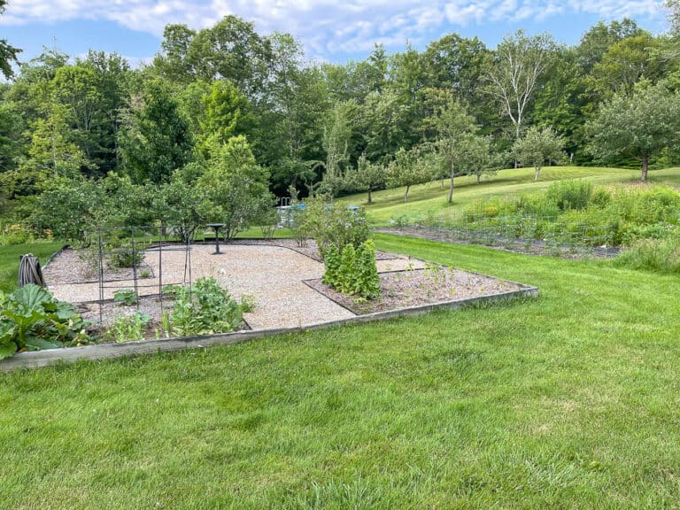 Raised Blueberry Bush Garden Bed Rooms For Rent blog