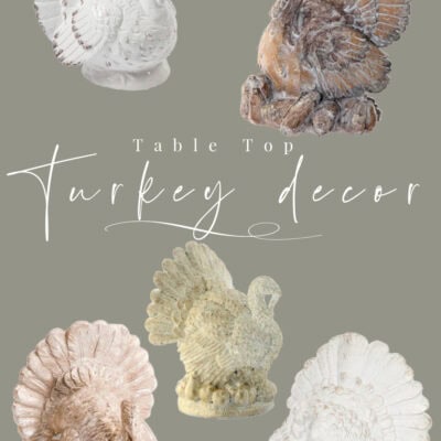 Tabletop Turkey Decor