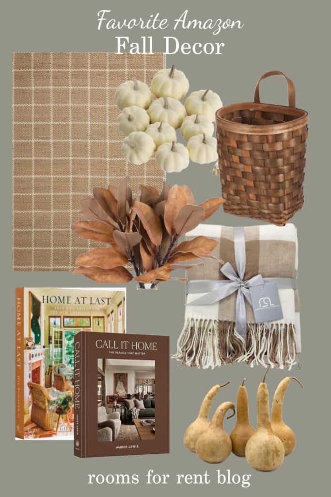 Favorite Amazon Fall Decor