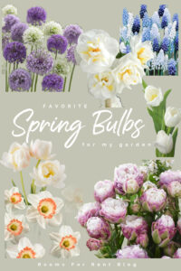 spring bulbs, planting spring bulbs