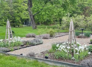 How to Plant Spring Bulbs