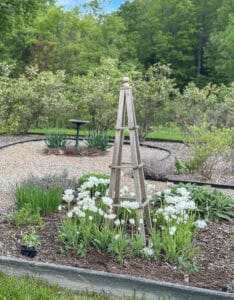 How to Plant Spring Bulbs