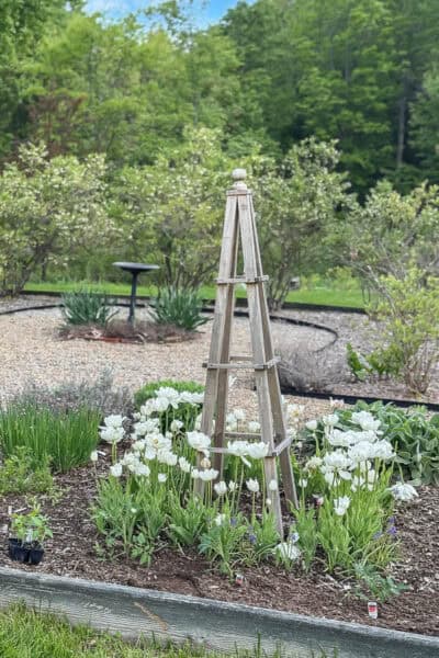 How to Plant Spring Bulbs