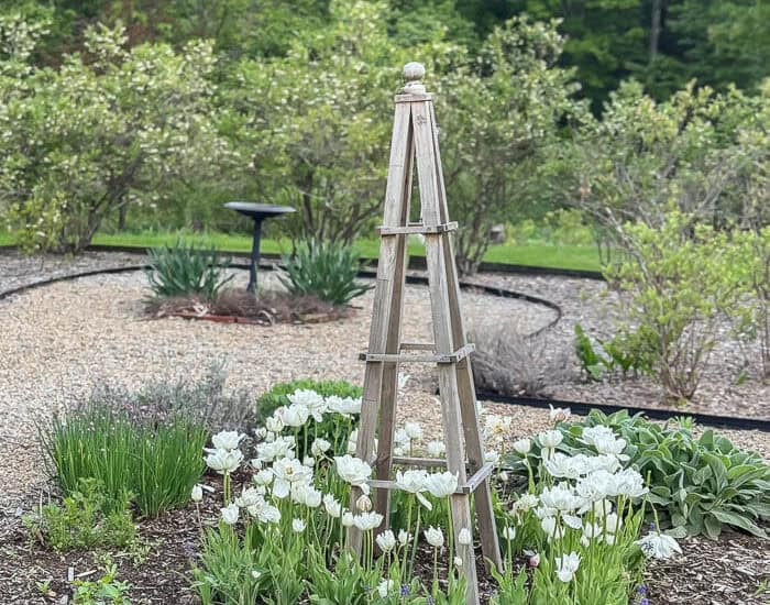 How to Plant Spring Bulbs