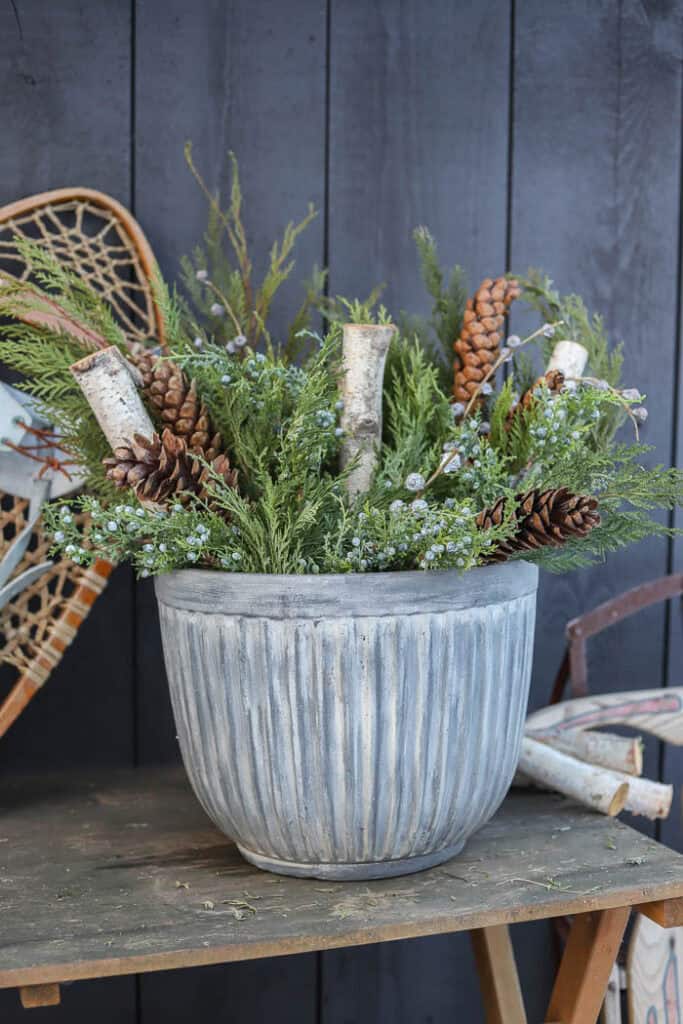 Outdoor winter arrangement with cedar, juniper berries, and birch logs.