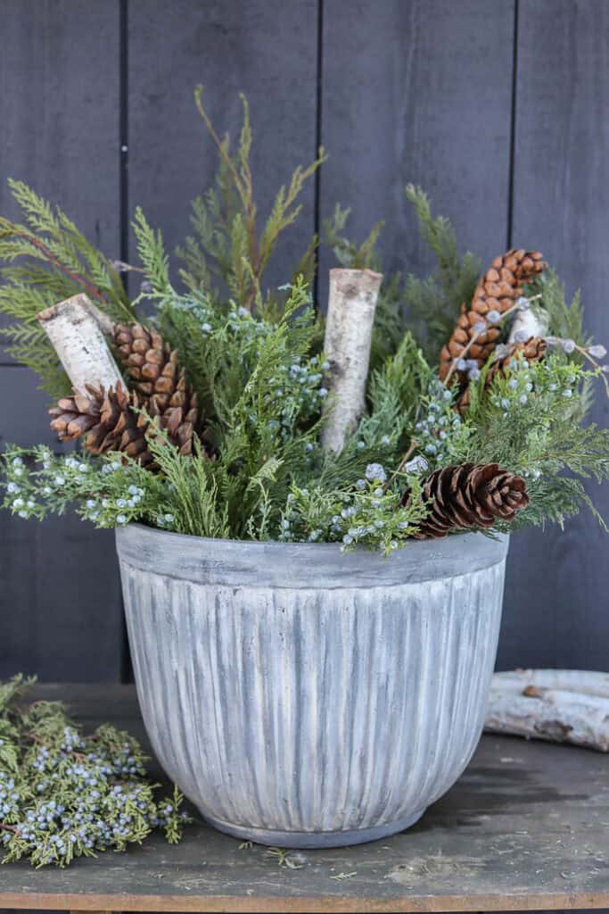 Outdoor winter arrangement with cedar, juniper berries, and birch logs.