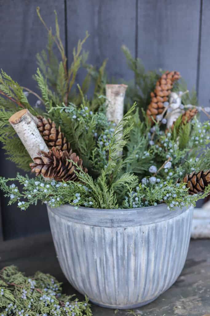 Outdoor winter arrangement with cedar, juniper berries, and birch logs.
