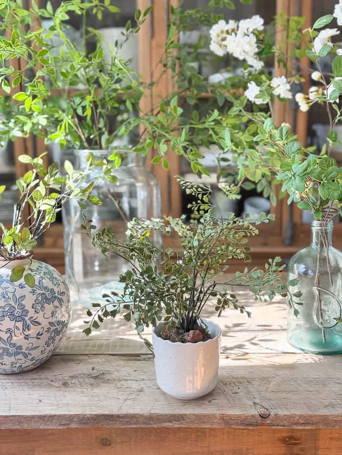 Realistic faux fern drop-in and faux flowering branches arranged in glass and ceramic vases for spring decorating.